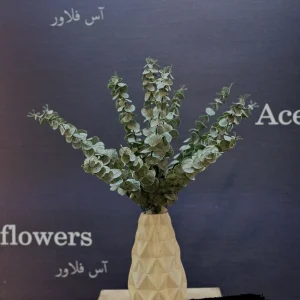 دسته اکالیپتوس گانیا سبز دارک با ۹ شاخه طبیعی و ماندگار گل طبیعی اکالیپتوس گانیا با ارتفاع ۵۳ سانتی‌متر، مناسب دکوراسیون مدرن