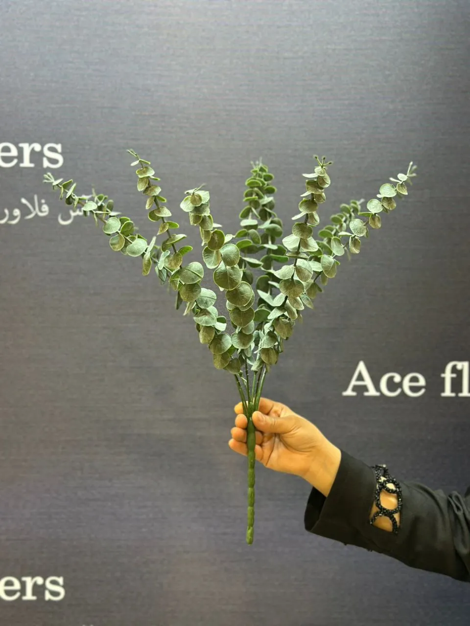 دکوراسیون میز پذیرایی با دسته گل اکالیپتوس گانیا سبز دارک در یک گلدان سفید اکالیپتوس گانیا به عنوان مرکز میز ناهارخوری در دکوراسیون سبک اسکاندیناوی