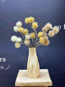 شاخه گل 8 قاصدک پشمی