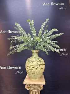 شاخه اکالیپتوس گانیا سبز