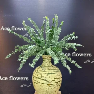 دکوراسیون اتاق با گلدان شاخه اکالیپتوس گانیا بر روی یک کنسول چوبی - ایده برای دکور منزل