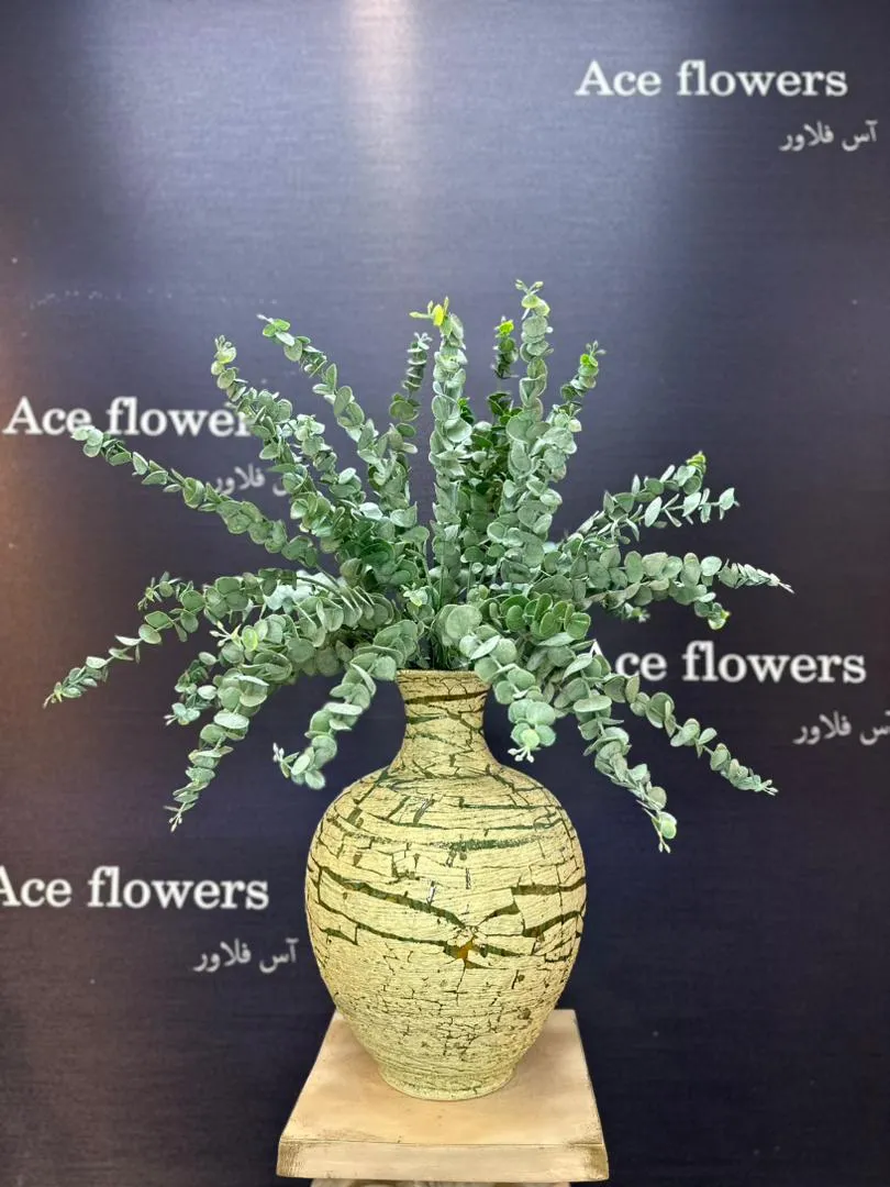 دکوراسیون اتاق با گلدان شاخه اکالیپتوس گانیا بر روی یک کنسول چوبی - ایده برای دکور منزل