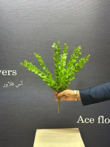 دسته اکالیپتوس 12 بازو