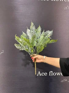 بوته برگ بلالی