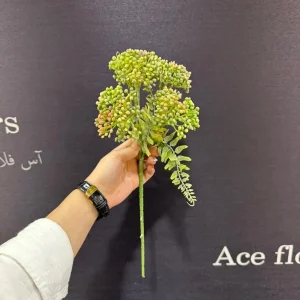 تصویر شاخه موگه رنگی هفت رنگ با برگ سبز – مناسب برای گل‌آرایی و دکوراسیون داخلی